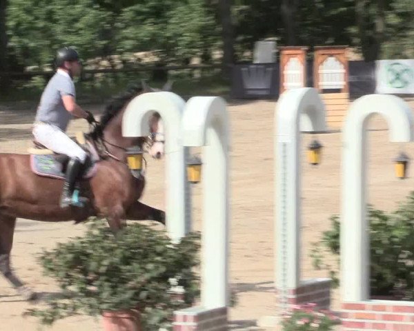Reitturnier Erkrath - Uhlenhof 2016