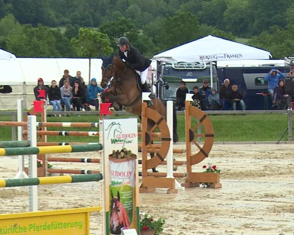 Reitturnier Detter 2016