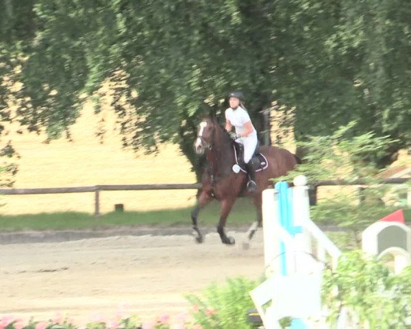 Reitturnier Erkrath - Uhlenhof 2016