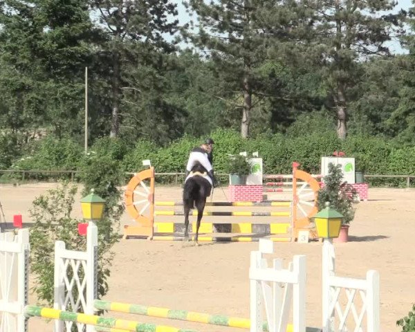 Reitturnier Erkrath - Uhlenhof 2016