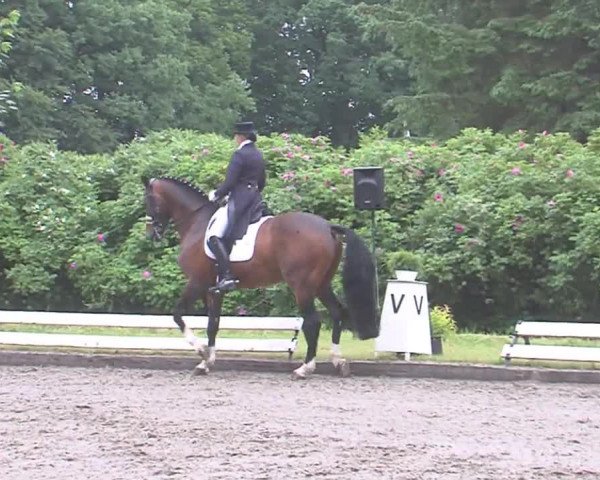 Reitturnier Hanerau-Hademarschen 2016