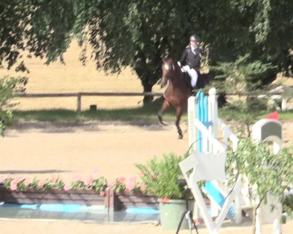 Reitturnier Erkrath - Uhlenhof 2016