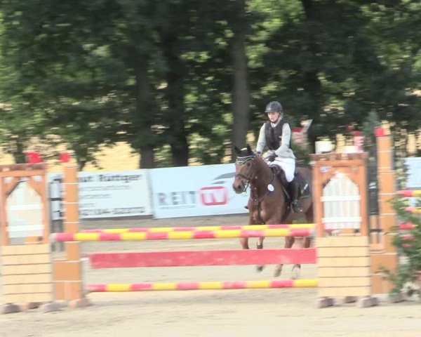 Reitturnier Erkrath - Uhlenhof 2016