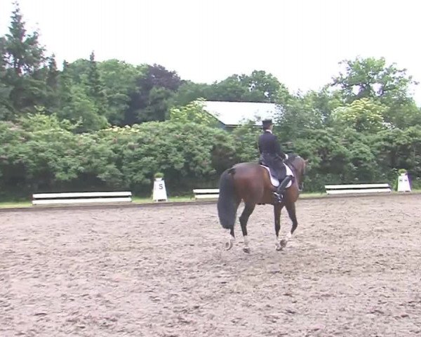 Reitturnier Hanerau-Hademarschen 2016