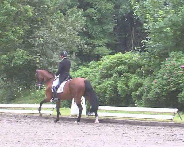 Reitturnier Hanerau-Hademarschen 2016
