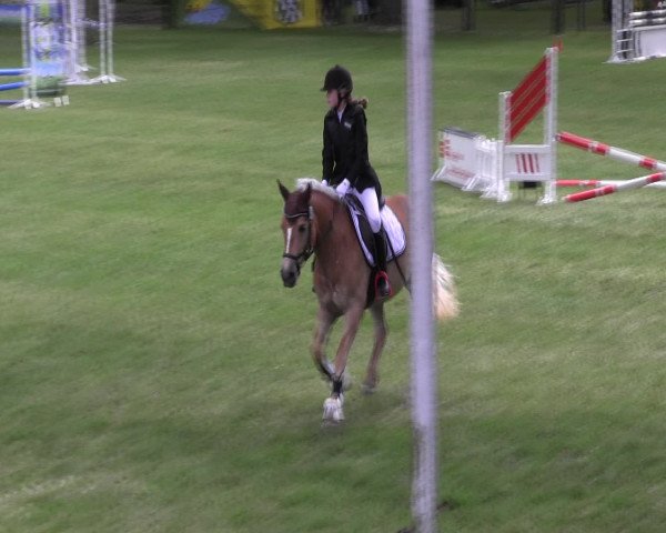 Ponyturnier Billerbeck 2016