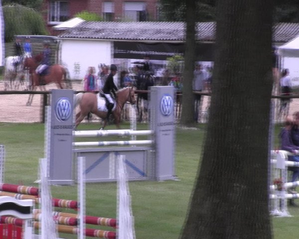 Ponyturnier Billerbeck 2016