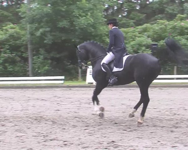 Reitturnier Hanerau-Hademarschen 2016