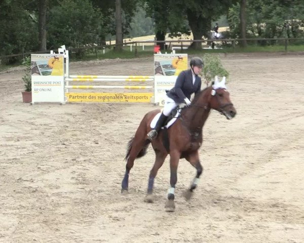 Reitturnier Erkrath - Uhlenhof 2016