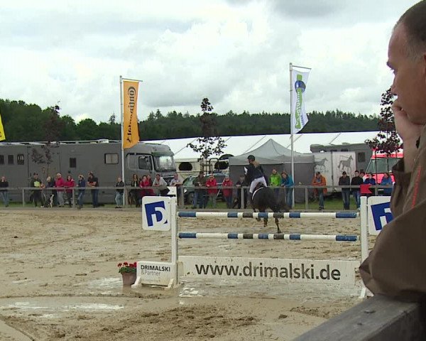 Reitturnier Detter 2016