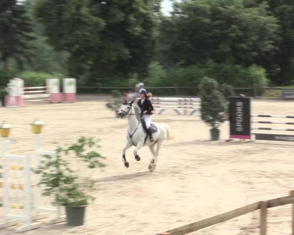 Reitturnier Erkrath - Uhlenhof 2016
