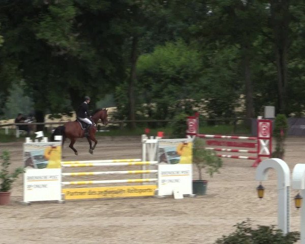 Reitturnier Erkrath - Uhlenhof 2016