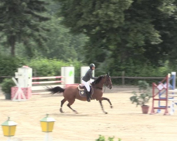 Reitturnier Erkrath - Uhlenhof 2016