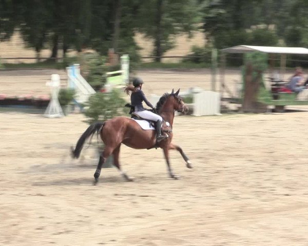 Reitturnier Erkrath - Uhlenhof 2016