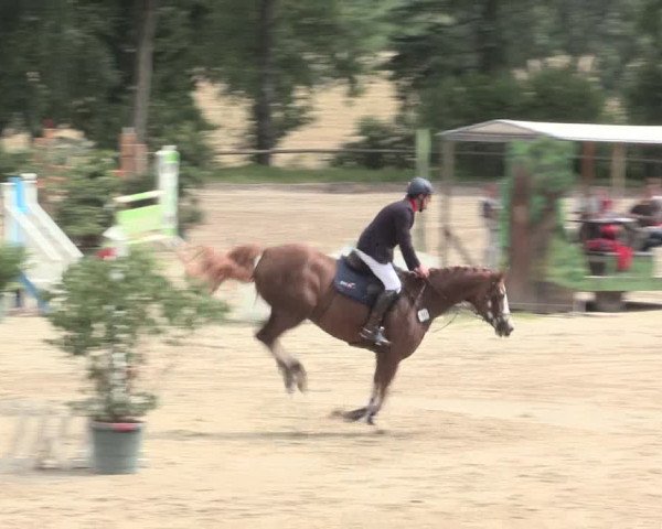 Reitturnier Erkrath - Uhlenhof 2016