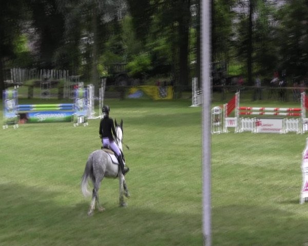 Ponyturnier Billerbeck 2016