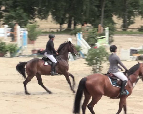 Reitturnier Erkrath - Uhlenhof 2016