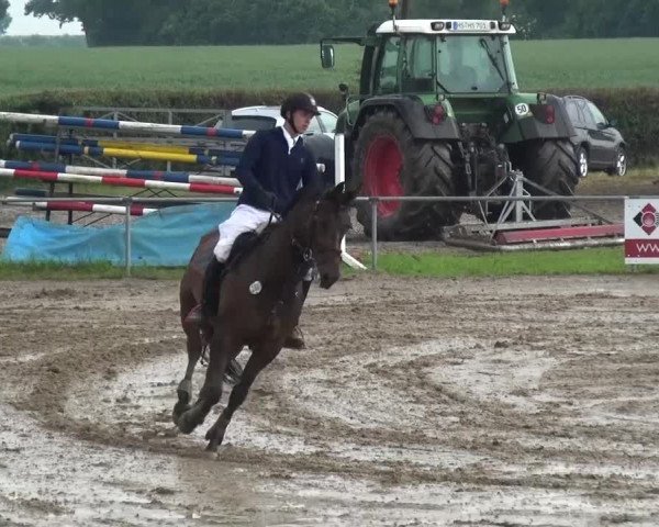 Heinsberger Dressur- und Springtage 2016