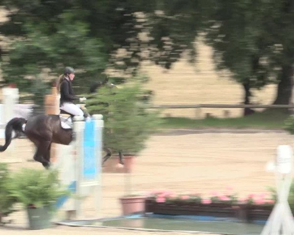 Reitturnier Erkrath - Uhlenhof 2016