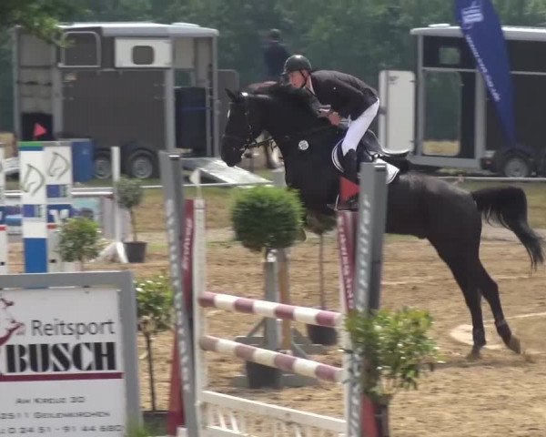 Heinsberger Dressur- und Springtage 2016