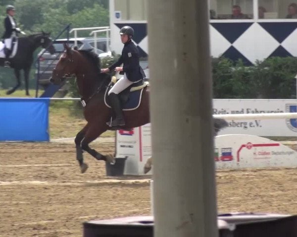 Heinsberger Dressur- und Springtage 2016