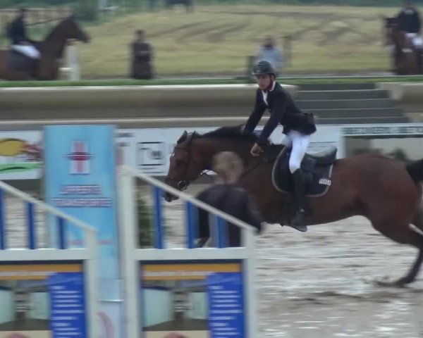 Heinsberger Dressur- und Springtage 2016