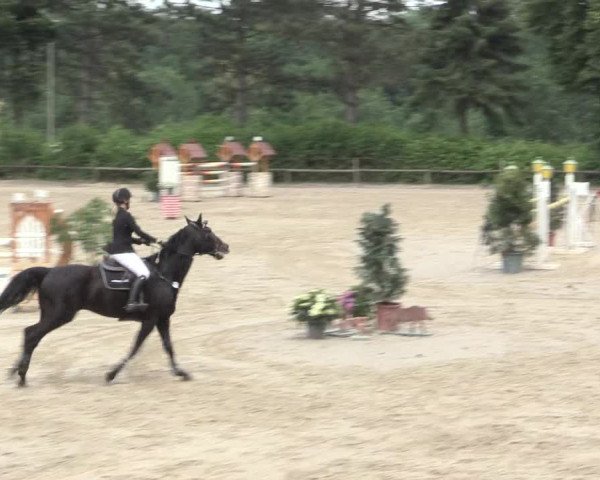 Reitturnier Erkrath - Uhlenhof 2016