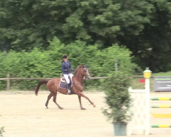 Reitturnier Erkrath - Uhlenhof 2016