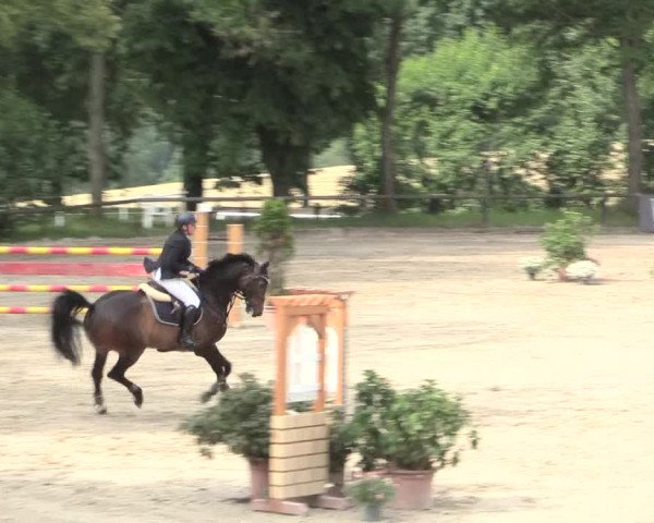 Reitturnier Erkrath - Uhlenhof 2016