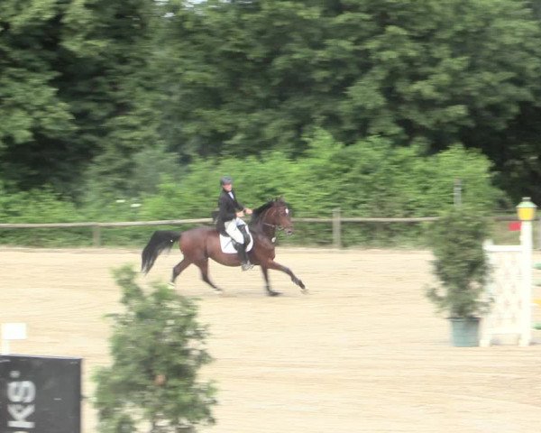 Reitturnier Erkrath - Uhlenhof 2016