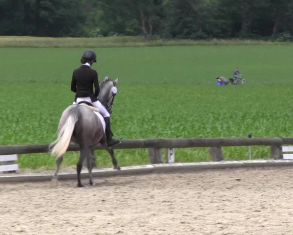 Ponyturnier Billerbeck 2016