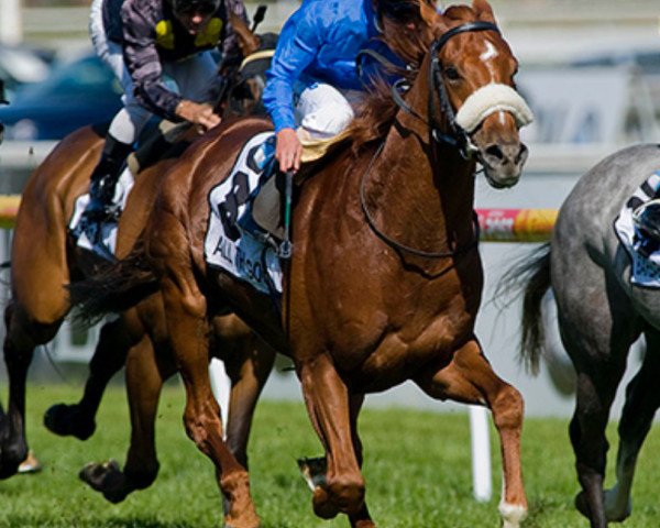 stallion All The Good xx (Thoroughbred, 2003, from Diesis xx)