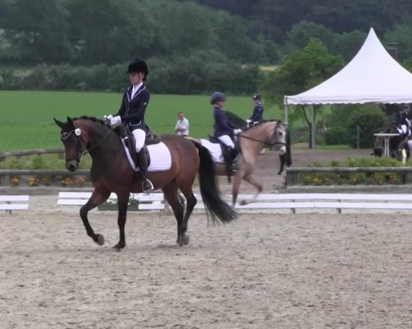 Ponyturnier Billerbeck 2016
