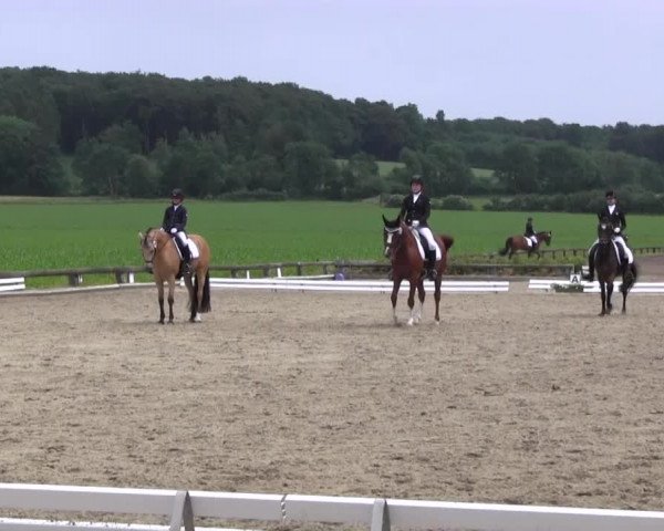 Ponyturnier Billerbeck 2016