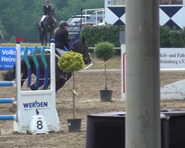 Heinsberger Dressur- und Springtage 2016