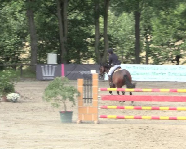 Reitturnier Erkrath - Uhlenhof 2016