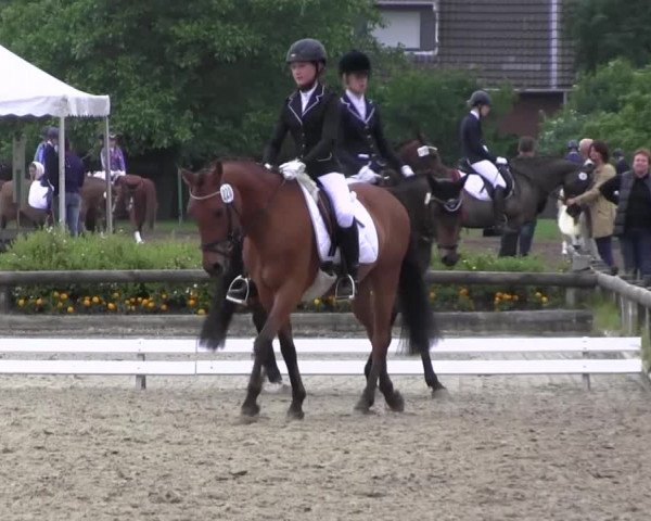 Ponyturnier Billerbeck 2016