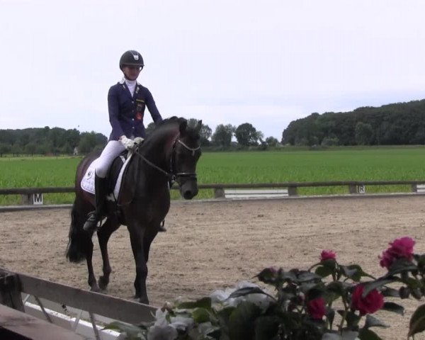 Ponyturnier Billerbeck 2016