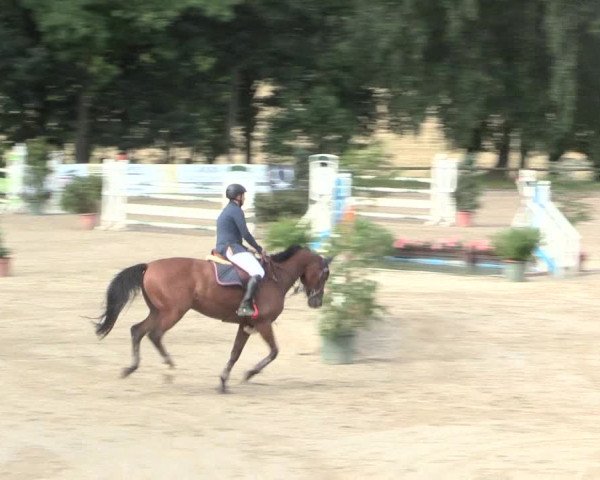 Reitturnier Erkrath - Uhlenhof 2016