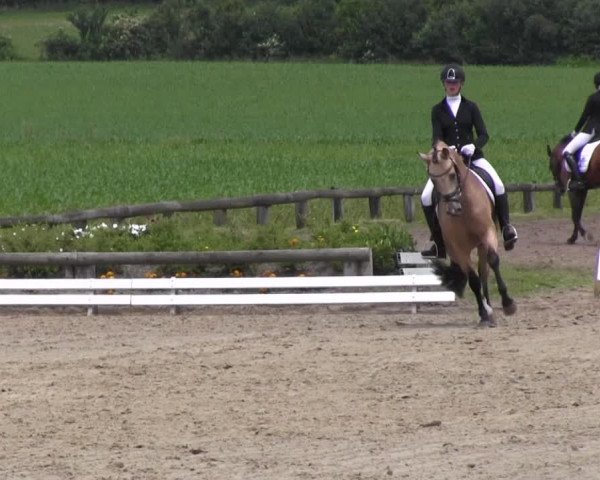 Ponyturnier Billerbeck 2016