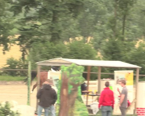 Reitturnier Erkrath - Uhlenhof 2016
