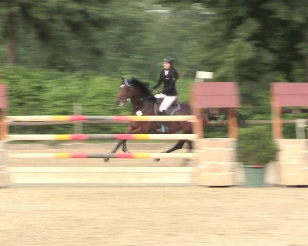 Reitturnier Erkrath - Uhlenhof 2016