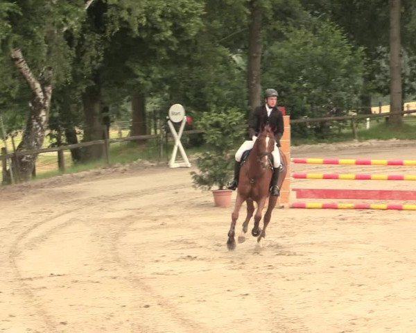 Reitturnier Erkrath - Uhlenhof 2016