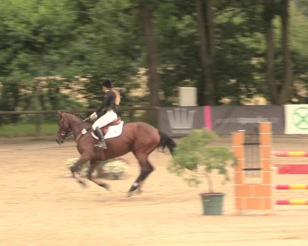 Reitturnier Erkrath - Uhlenhof 2016