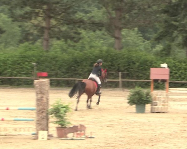 Reitturnier Erkrath - Uhlenhof 2016