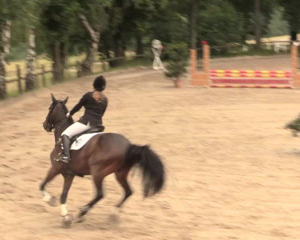 Reitturnier Erkrath - Uhlenhof 2016