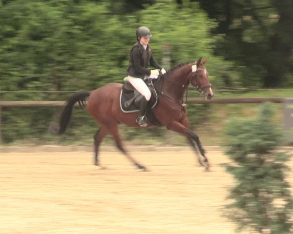 Reitturnier Erkrath - Uhlenhof 2016