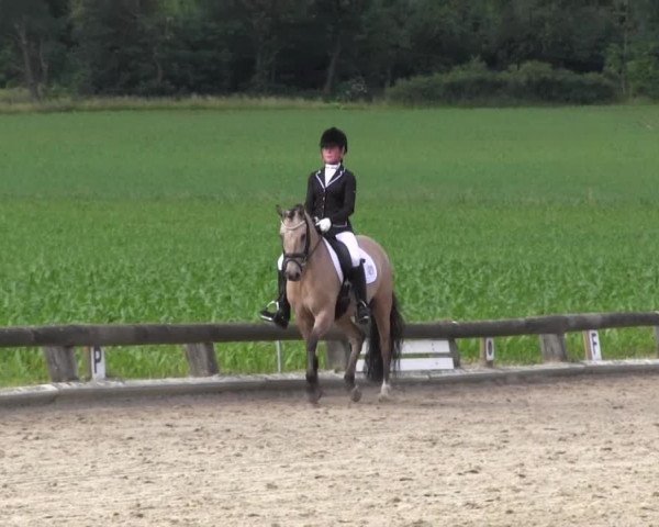 Ponyturnier Billerbeck 2016