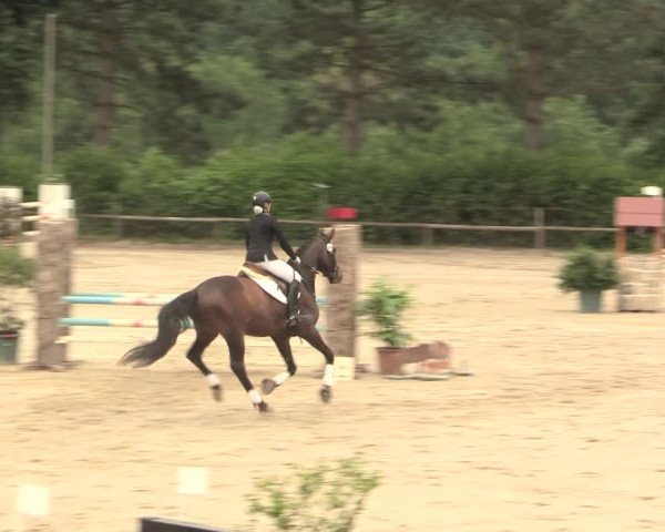 Reitturnier Erkrath - Uhlenhof 2016