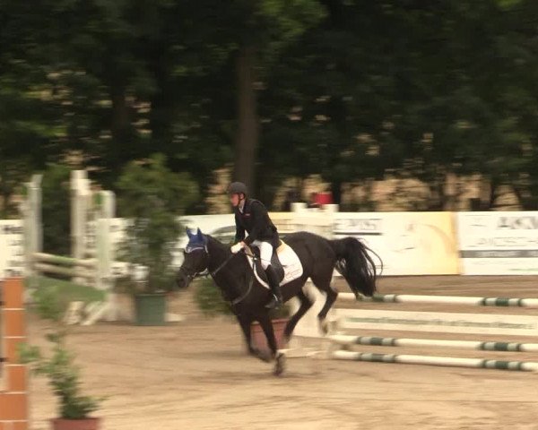 Reitturnier Erkrath - Uhlenhof 2016